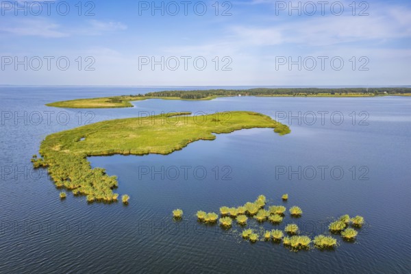 Aerial view, drone photo: Lysa Wyspa island covered with reeds, Kahleberg, Nowe Warpno, Szczecin Lagoon, Poland, Europe