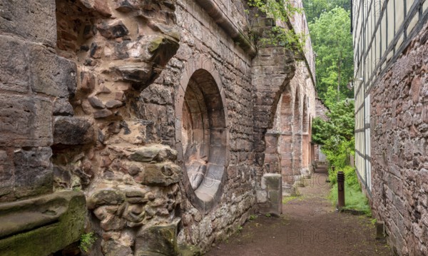 Ruins of the monastery church, former Cistercian nunnery, Stadtroda, Thuringia, Germany, Europe