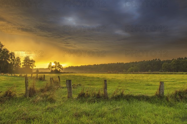 View of a wooden fence over green meadows at the edge of a forest with an intense sunset, Neustadt am Rübenberge, Hanover Region, Lower Saxony, Germany, Europe