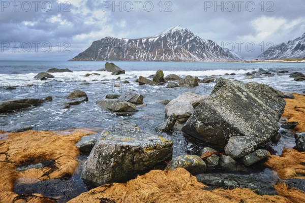 Rocky coast of fjord of Norwegian sea in winter with snow. Skagsanden beach, Lofoten islands, Norway, Europe