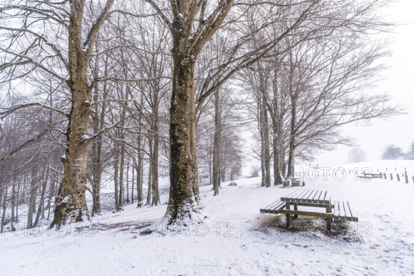 Snowy sunrise at the picnic area next to the refuge of Mount Aizkorri in Gipuzkoa. Snowy landscape by winter snows. Basque Country, Spain, Europe