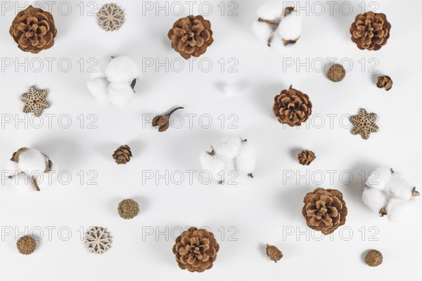 Winter arrangement with fir cones, snowflake ornaments and cotton (Gossypium) on white background