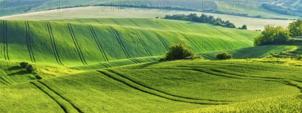 European rural wallpaper, panorama of Moravian rolling fields landscape, Moravia, Czech Republic, Europe