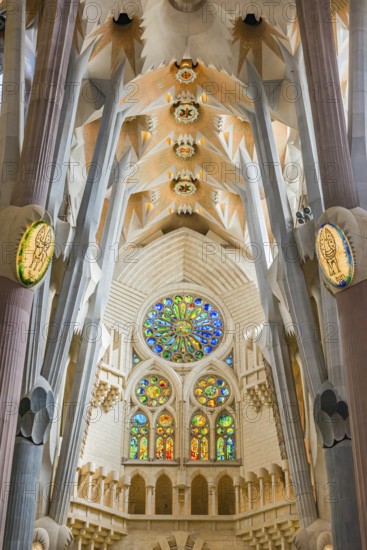 Interior view of the Familia Sagrada by the architect Antonio Gaudi in Barcelona, Spain, Europe
