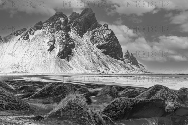 Black sand dunes with reed remains, behind them snowy rocky slopes of Vestrahorn, black and white photo, near Höfn, Sudausturland, Iceland, Europe