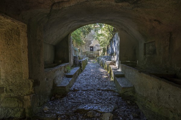 Remains of the medieval monastery of Caluc, Prieuré de Carluc, Cereste, Alpes-de-Haute-Provence department, Provence, France, Europe