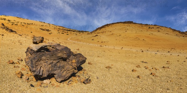 Tenerife National Park, World Heritage Site, Tenerife, Canary Islands, Spain, Europe