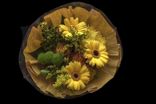 Colourful bouquet of flowers with a paper cuppa, Bavaria, Germany, Europe
