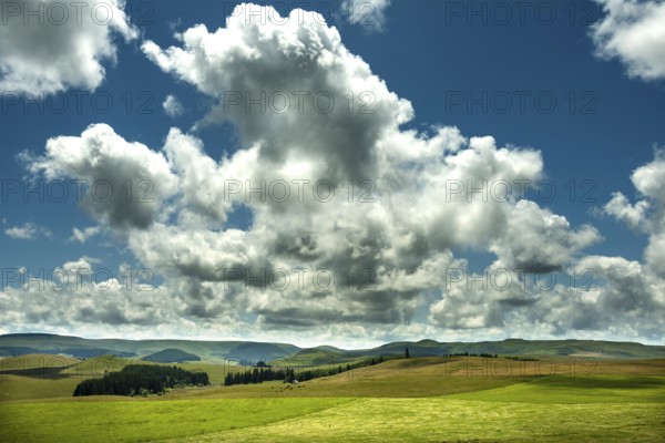 Cezallier plateau in the Auvergne volcanoes regional natural park, Puy de Dome department, Auvergne-Rhone-Alpes, France, Europe