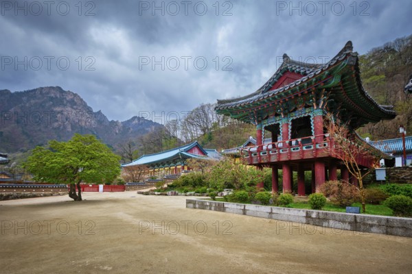 Sinheungsa Buddhist temple in Seoraksan National Park, Seoraksan, South Korea, Asia