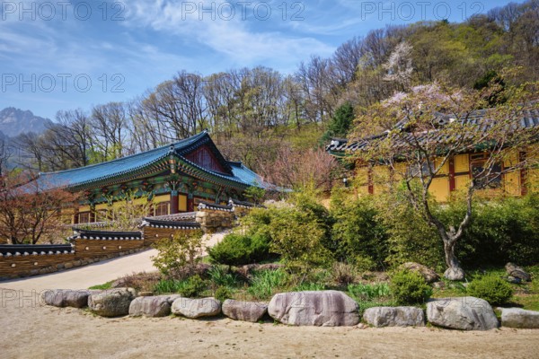 Sinheungsa Buddhist temple in Seoraksan National Park, Seoraksan, South Korea, Asia