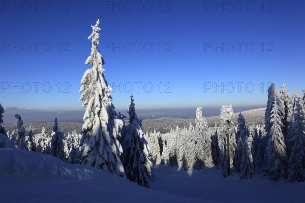 Winter landscape in the Fichtelgebirge, Bayreuth district, Upper Franconia, Bavaria, Germany, Europe