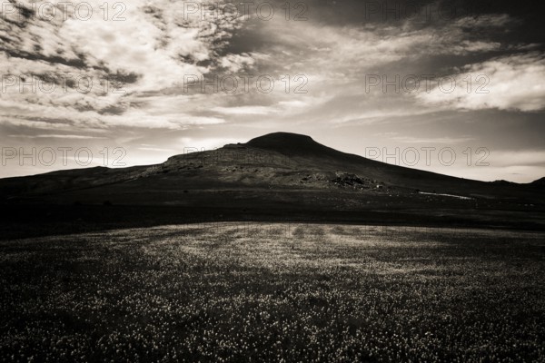 Monts Dore, Sancy mountain. Auvergne volcanoes natural park. Puy-de-Dome department. Auvergne-Rhone-Alpes. France