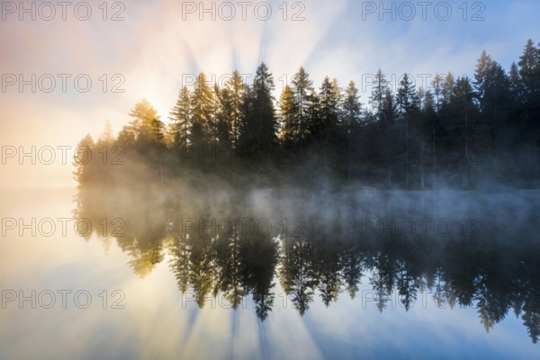 Sunrise over the mirror-smooth mire lake Étang de la Gruère in the canton of Jura, Switzerland, Europe
