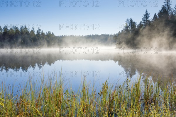 Wafts of mist over the mirror-smooth mire lake Étang de la Gruère in the canton of Jura, Switzerland, Europe