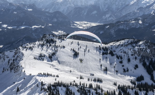 Mountains in winter, paraglider with skis on Sonntagshorn, Chiemgau Alps, Bavaria, Germany, Europe