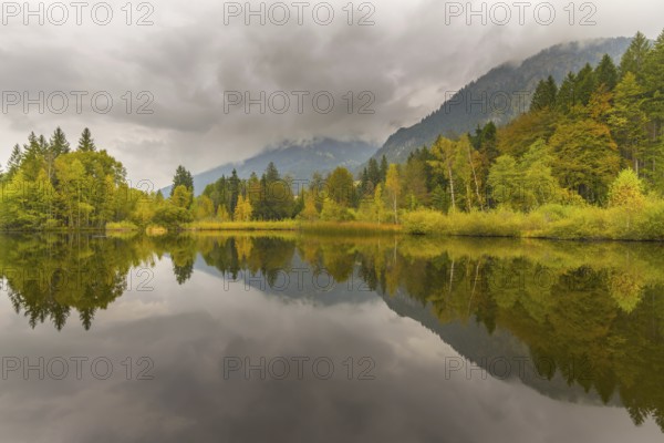 Marsh pond near Oberstdorf, Oberallgäu, Allgäu, Bavaria, Germany, Europe