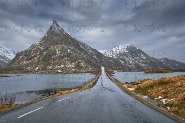 Road in Norwegian fjord. Lofoten islands, Norway, Europe