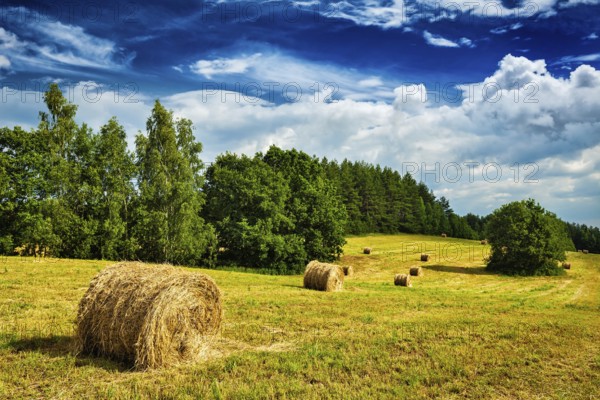 Agriculture background, Hay bales on field in summer