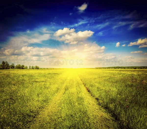 Vintage retro effect filtered hipster style image of spring summer background, rural road in green grass field meadow scenery landscape with blue sky