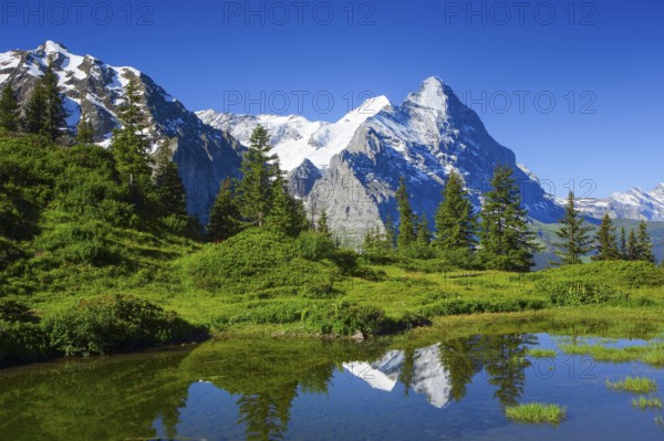 Eiger, Mönch, Bernese Oberland, Switzerland, Europe