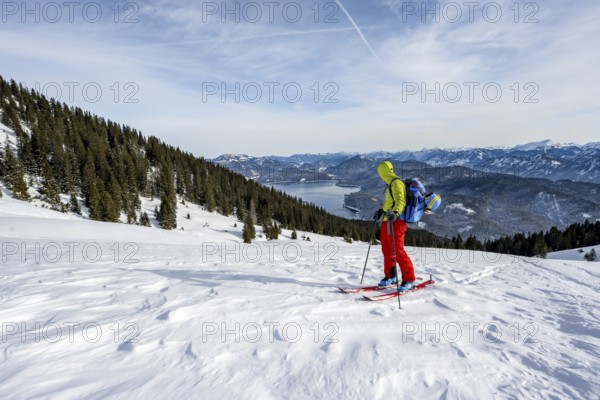 Ski tourers climbing Simetsberg, view of Walchensee, Estergebirge, Bavarian Prealps, Bavaria Germany
