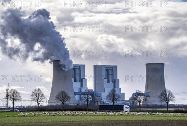 RWE Power lignite-fired power plant Neurath, near Grevenbroich, power plant units F and G, cooling towers, country road, sheep on a pasture in front of the lignite-fired power plant, North Rhine-Westphalia, Germany, Europe