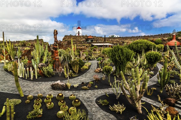 2016, Guatiza, Lanzarote, Jardin de Cactus by Cesar Manrique, ESP, Spain, Canary Islands, Canary Islands, Atlantic Ocean, Lanzarote, biosphere reserve, volcano, volcanism, volcanic island, island, recording date, Europe