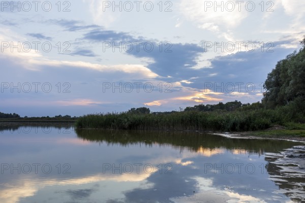 Lake Varchentin, evening mood on the shore, Mecklenburg Lake District, Mecklenburg-Western Pomerania, Germany, Europe