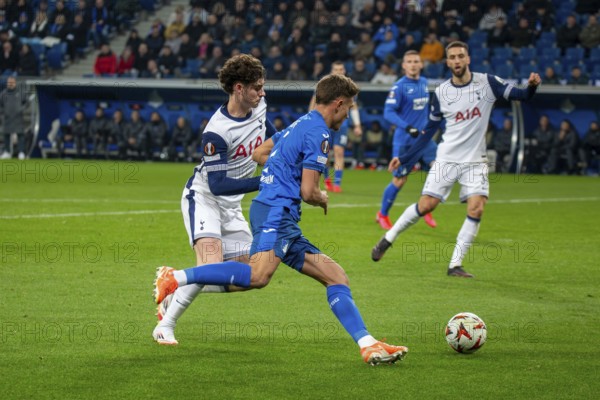 Football UEFA Europa League, 2024/25 season, matchday 7: TSG Hoffenheim v Tottenham Hotspur. Picture: Duel between Tom Bischof (7, Hoffenheim) and Archie Gray (14, Tottenham)