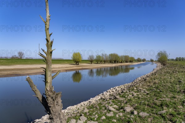 The Gierthausen oxbow lake near Schenkenschanz, Kleve, on the Lower Rhine, North Rhine-Westphalia, Germany, Europe