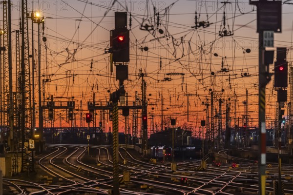 Track apron with trains, rails, points, pylons and signalling systems. Infrastructure at the main station. Sunset. Frankfurt am Main, Hesse, Germany, Europe