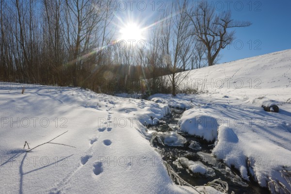 Bochum, North Rhine-Westphalia, Germany - Sunny winter landscape in the Ruhr area, ice and snow on the renaturalised Goldhammer Bach, the stream has been transformed into a near-natural watercourse, the Goldhammer Bach flows into the Emscher via the Hüller Bach, is part of the Emscher river system and thus part of the Emscher conversion, was previously an open, above-ground wastewater channel, mixed water channel with surface water and wastewater, animal tracks in the snow