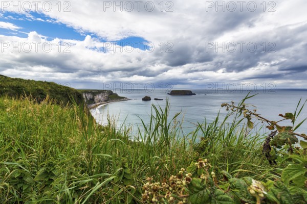 Coastline between Ballycastle and Ballintoy with sea view, grasses, Causeway Coastal Route, Antrim, Northern Ireland, Great Britain