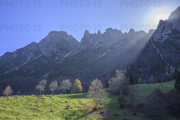 Sunbeam illuminates trees and meadow along the path of the big trees in the Piccolo Dolomiti, Recoaro Terme, Province of Vicenza, Italy, Europe