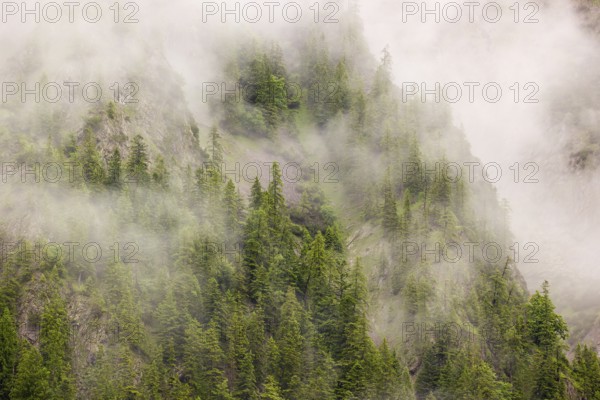 Wisps of mist cover the Karwendel mountains in the Großer Ahornboden nature reserve, Eng Valley, Tyrol, Austria, Europe
