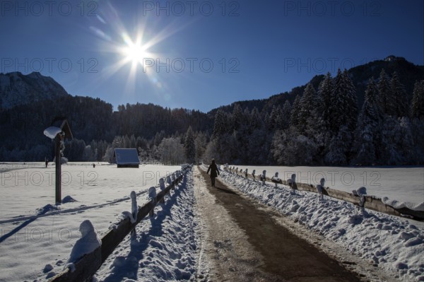 Winter landscape in the snow, hiker on a path through a snowy landscape, backlight, Oberstdorf, Oberallgäu, Allgäu, Bavaria, Germany, Europe