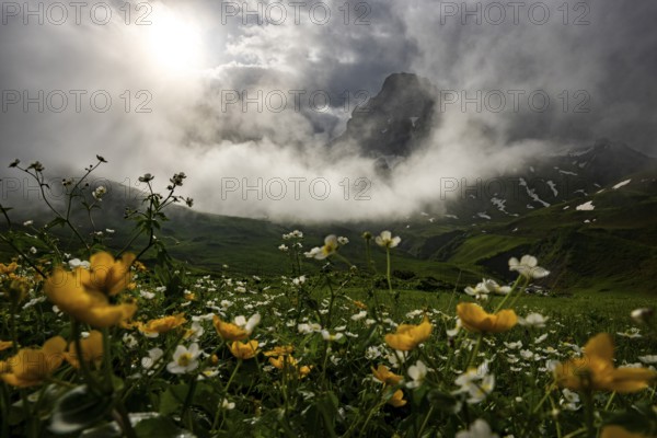 Peaks in the morning light and alpine landscape with dramatic clouds, Lech, Lechquellengebirge, Vorarlberg, Austria, Europe