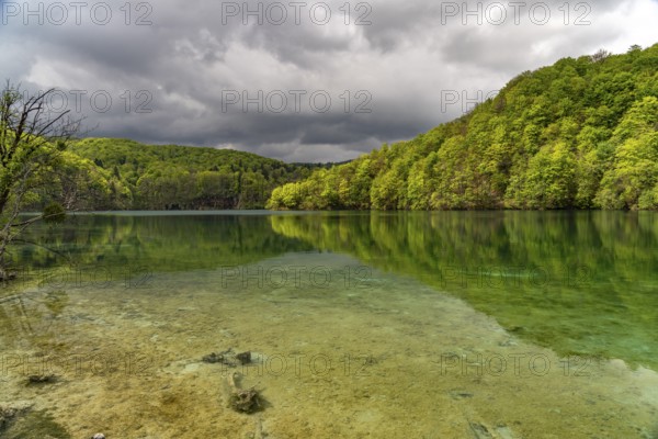 Lake in Plitvice Lakes National Park, Croatia, Europe
