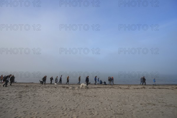 Beach walker with dogs at the Baltic Sea in the morning, Mecklenburg-Vorpommern, Germany, Europe