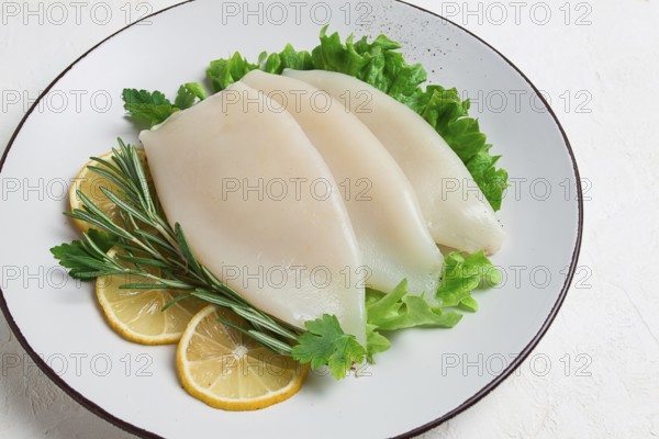 Fresh body, squid, raw, three carcasses, top view, no people, on a plate