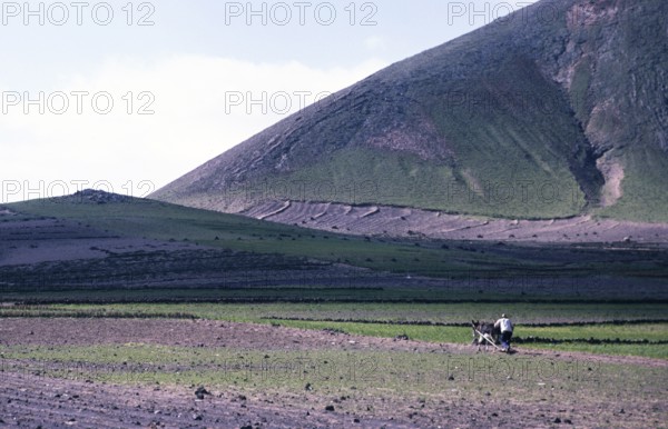 Man ploughing land with a donkey Subsistence farming, Lanzarote, Canary Islands, Spain 1979