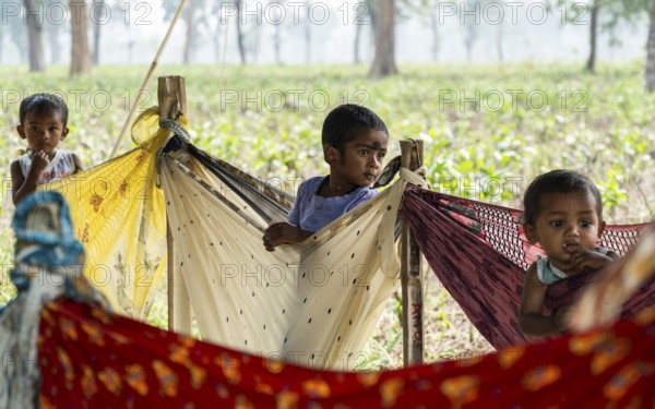 Children of tea plantation workers underneath a tent as their mothers pluck tea leaves at the Tea Estate on April 2, 2025 in Bansbari, Assam, India, Asia