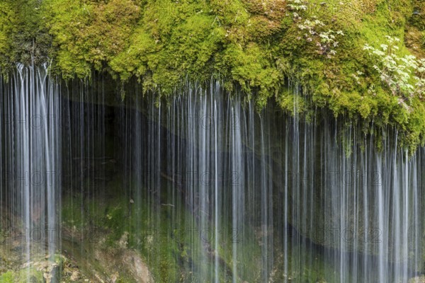 Moss-covered rocks and waterfall, Wutach Gorge, Bonndorf, Baden-Württemberg, Black Forest, Germany, Europe