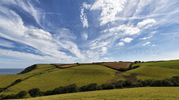 Hilly landscape with fields, meadows, hedges by the sea, spring clouds in summer, Cirrus, Cornwall, England, Great Britain