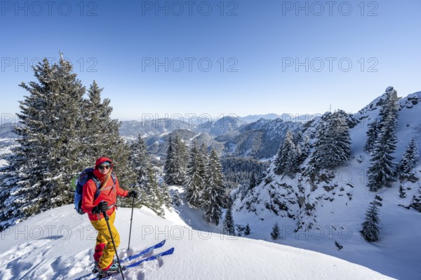 Ski tourer climbing up to the Teufelsstättkopf, snow-covered mountain landscape, view of forest and mountain panorama, Ammergau Alps, Bavaria, Germany, Europe