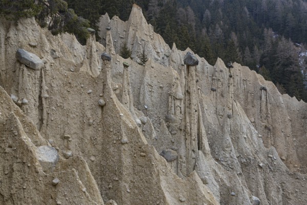 Earth pyramids located in Platten in the municipality of Percha, near Bruneck in South Tyrol, Italy, Europe