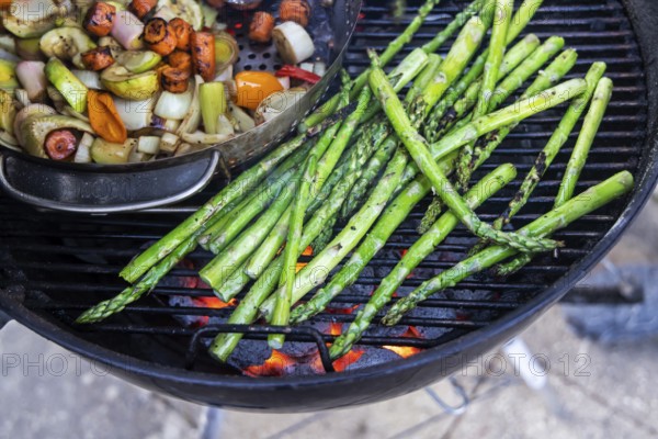 Barbecue, kettle grill with vegetarian and vegan barbecue grills such as grill pan and green asparagus. Baden-Württemberg, Germany, Europe