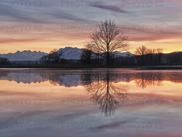 Pilatus reflected in the flooded nature reserve in the evening light, Reussspitz, Hünenberg, Canton Zug, Switzerland, Europe