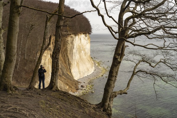A visitor photographs the famous chalk cliffs on the Baltic Sea coast in Jasmund National Park, Ruegen Island, Mecklenburg-Western Pomerania, Germany, Europe